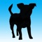 Doggy puzzle game, the perfect puzzle for dog lovers