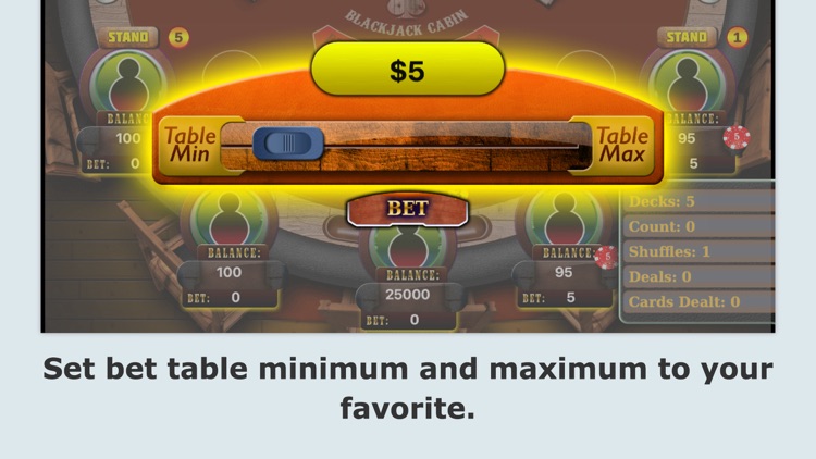 Blackjack Counting Strategy Trainer screenshot-3