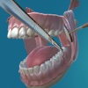 VDS - Visual Dental Surgery - 8° inferiore incluso