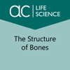 The Structure and Functions of Bones