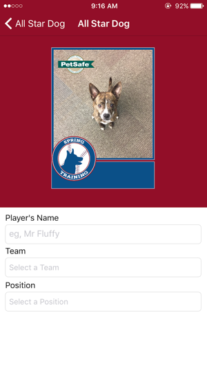 PetSafe All-Star Dog Baseball Card(圖2)-速報App