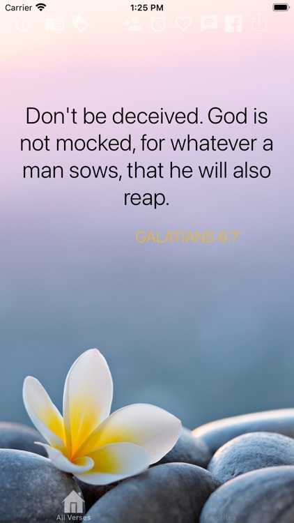 Bible Verse of the Day! screenshot-8