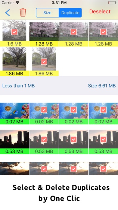 Album Cleaner Pro-Removes Duplicate Photos & video Screenshot on iOS