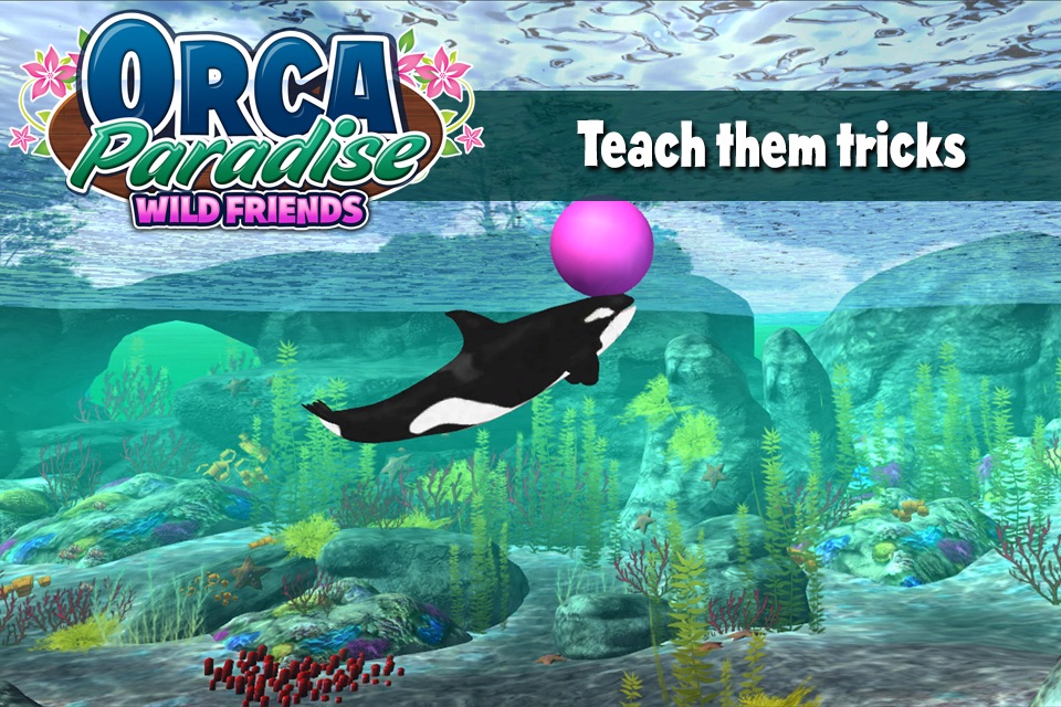 Orca Paradise: Wild Friends screenshot 2