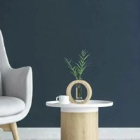 Home Maintenance List