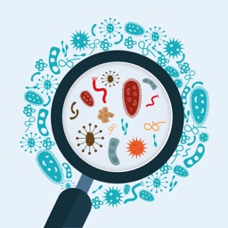 Medical Microbiology Quiz