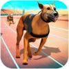 Dog Crazy Racing Simulator