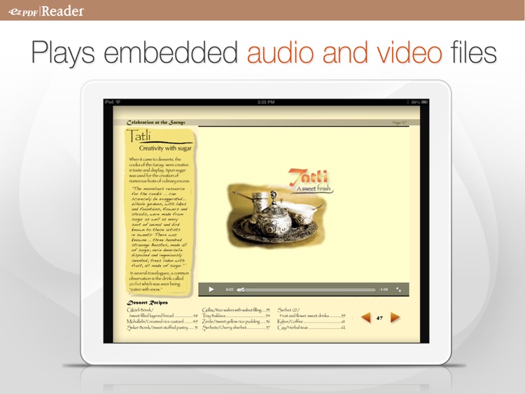 ezPDF Reader: Interactive PDF Reader for iPad