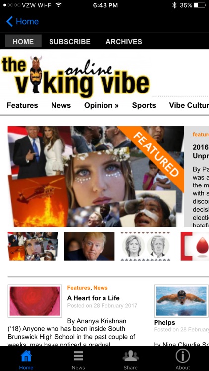 The Viking Vibe screenshot-3