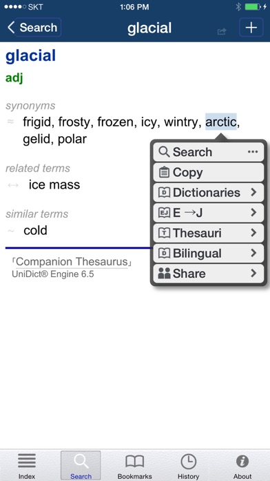 English Thesaurus (WordNet) Screenshot 3