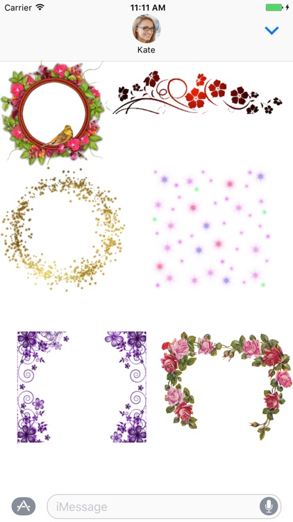 Flower Frames Sticker Pack