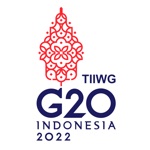G20 TIIWG