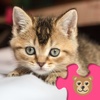 Cat &amp; Kitten Puzzle Fun