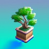 Bonsai Grow