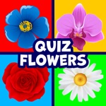 Quiz Flowers guess one answer