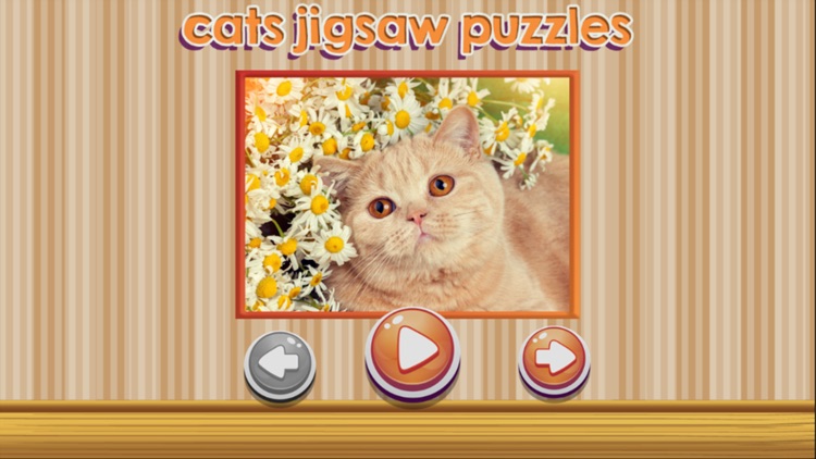 cats jigsaw puzzles game for kids