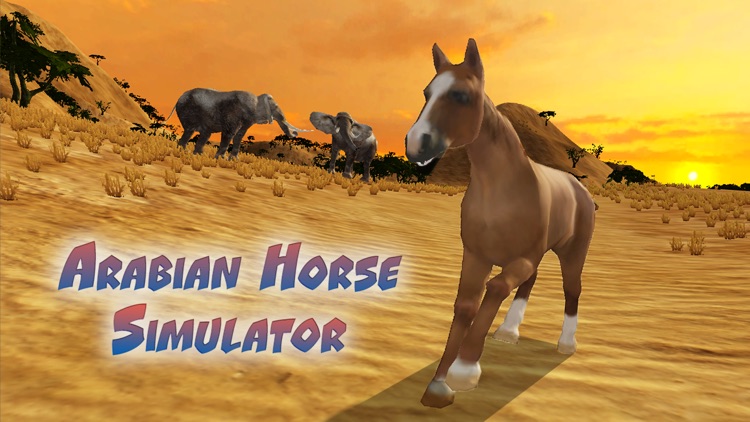 Arabian Horse Simulator Full