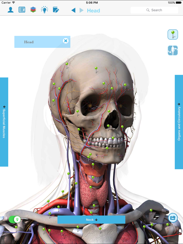 Anatomy & Physiology - anatomy of human body parts(圖2)-速報App