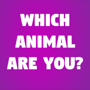 Which Animal Are You?