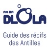 Guide des récifs des Antilles