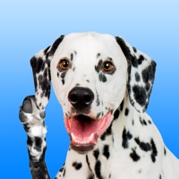 Dalmation Love - Stickers & Keyboard For Dogs  PC 용