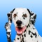 Get the cutest emoji stickers and keyboard for all the Dalmatian lovers