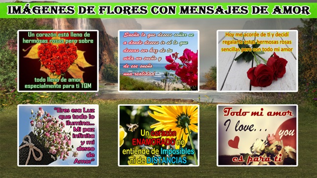 Flores De Amor(圖3)-速報App