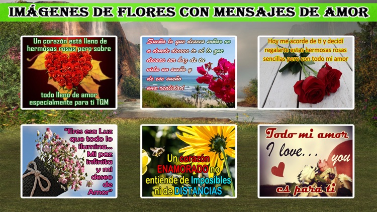 Flores De Amor