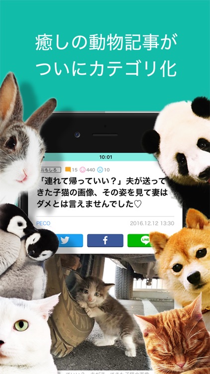 ネタりか