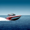 roving sea life Speedboat