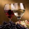 Wine Guide is a great collection with photos and info