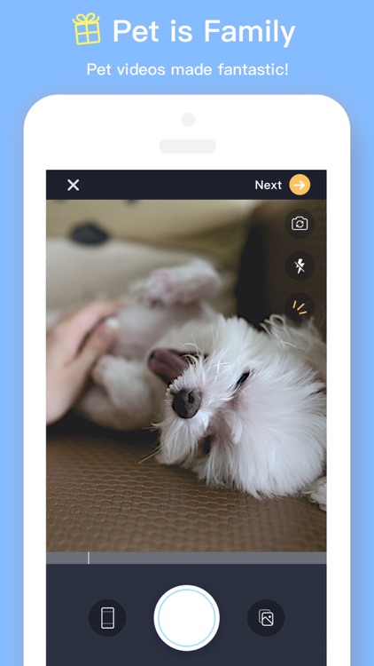 Pamily - Video Community for Pet lovers