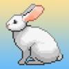 Pixel Rabbits