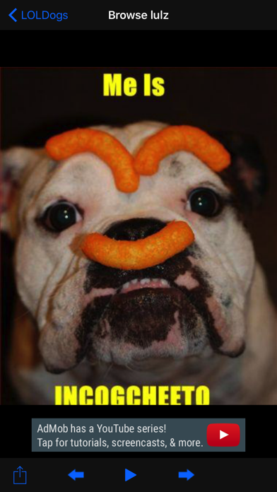 LOLDogs - Doggos & Pupper Picsのおすすめ画像1