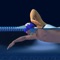 Meet Mr Smooth and Miss Swinger - two freestyle (front crawl) stroke animations showing you great stroke technique