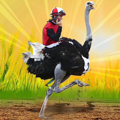 ostriches racing