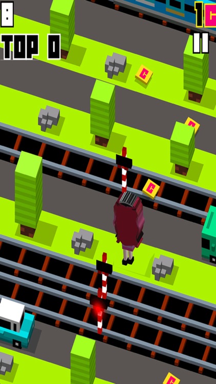 City Crossing Game