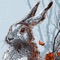 Cute Rabbit HD Backgrounds & Wallpapers