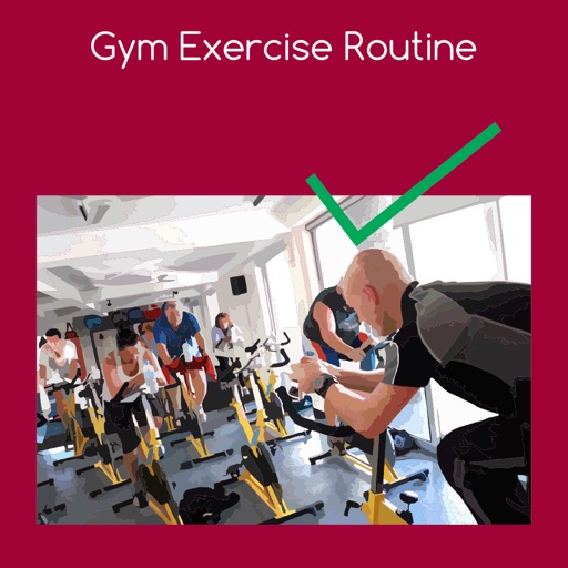 Gym exercise routine icon