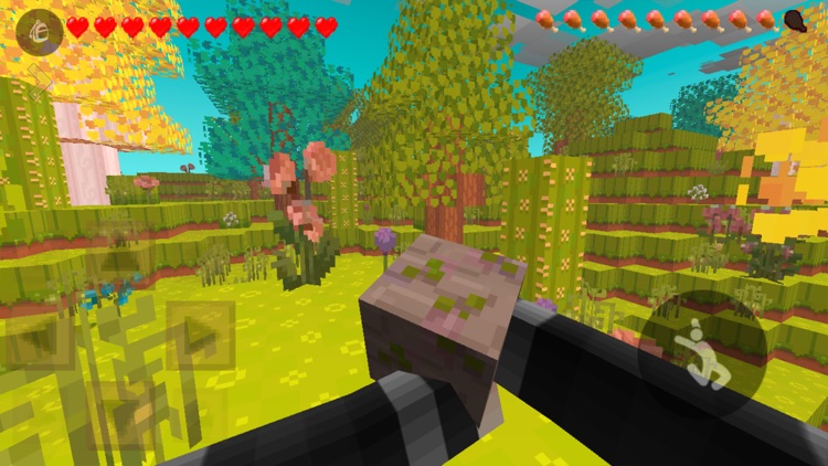 Pixelmon Craft Go screenshot-3