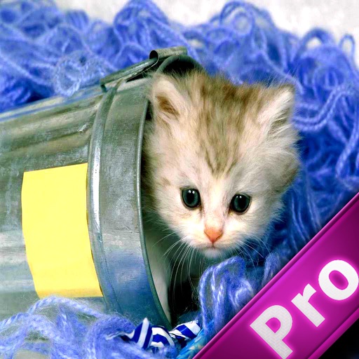 Rescue Cat Cutting Rope Pro icon