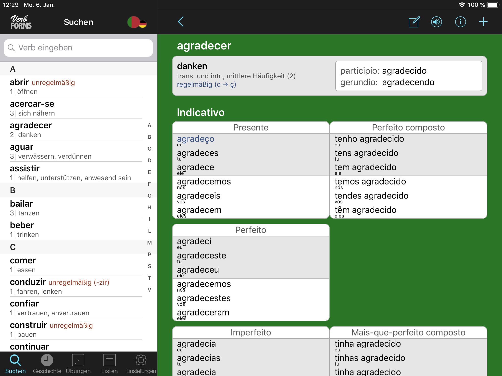 Portuguese Verbs & Conjugation screenshot 3