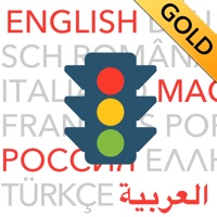 Führerschein multilingual GOLD
