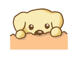 Have fun chatting with this sticker pack