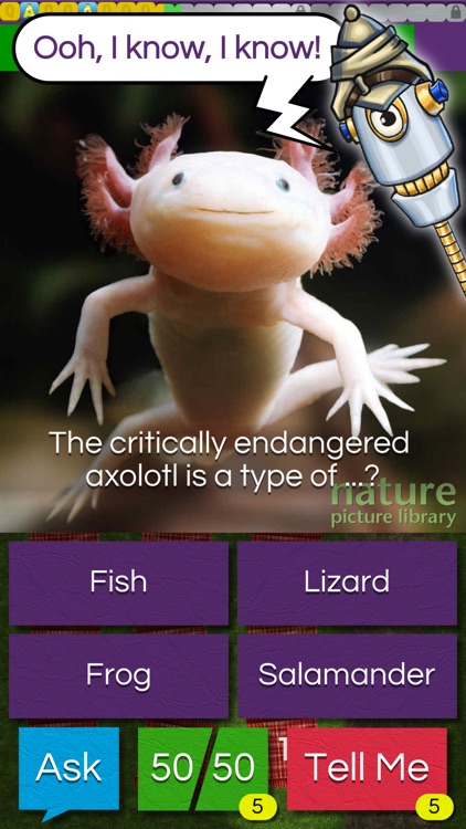 QuizTix: Animal Pics Quiz screenshot-3