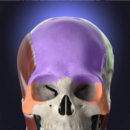 Anatomyka iOS App