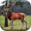 Deer Hunting 2017 : Real time hunting