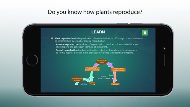 Reproduction-Flowering Plants(圖2)-速報App