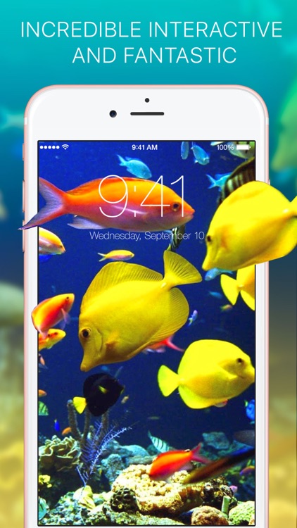 Live Wallpapers - Dynamic Animated Photo HD Themes screenshot-3