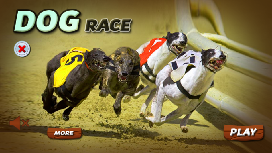 Dog race betting game bet rivers pittsburgh app
